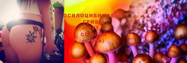 стаф Володарск