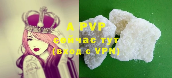 стаф Володарск