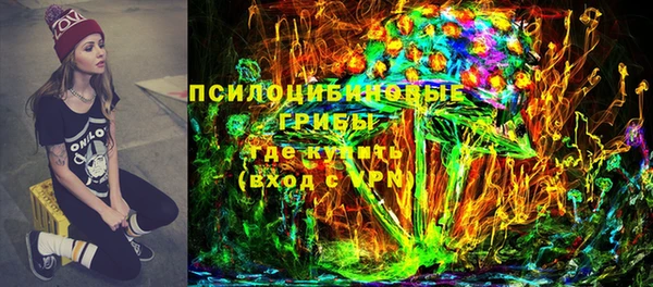 стаф Володарск